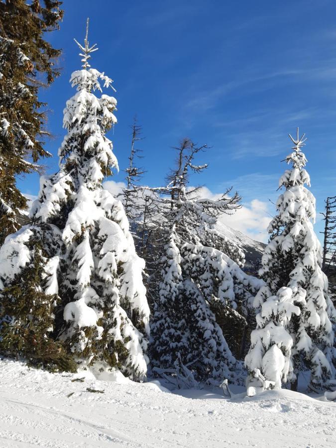 Apartmany Fortuna Vysoké Tatry Εξωτερικό φωτογραφία